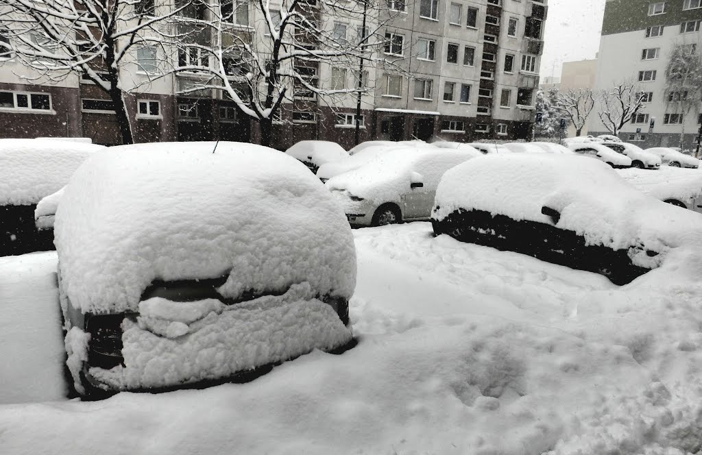 Today's snowfall in Bratislava Vrakuňa, Slovakia by karolplus