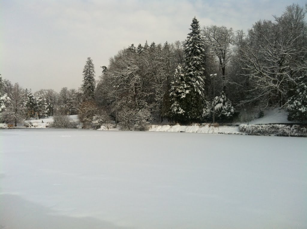 Hilmteich Graz in Winter by do.ki