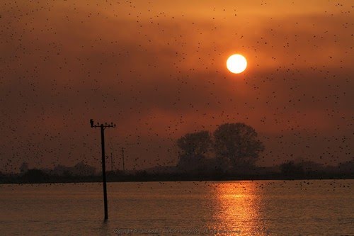 Sunset Landscape by markoudis markos