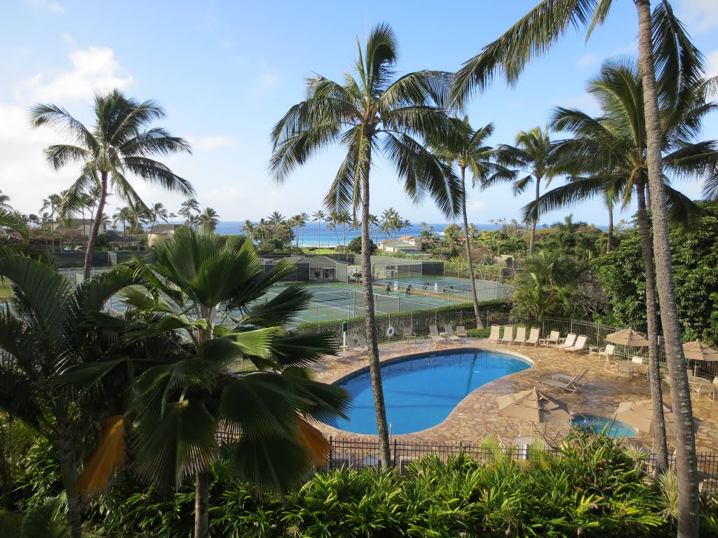 From Kahala 133 Deck by marylohr