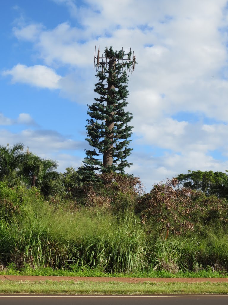 Hidden Cell tower by marylohr