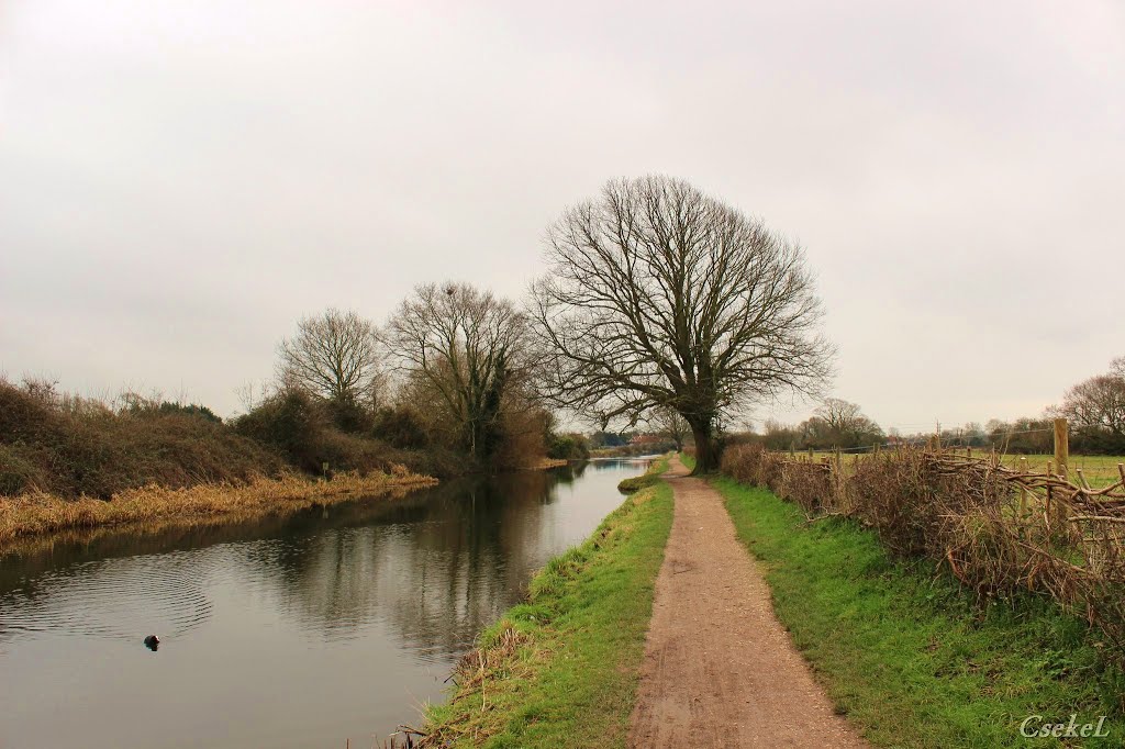 Kanális (Chichester Canal) by Cseke László