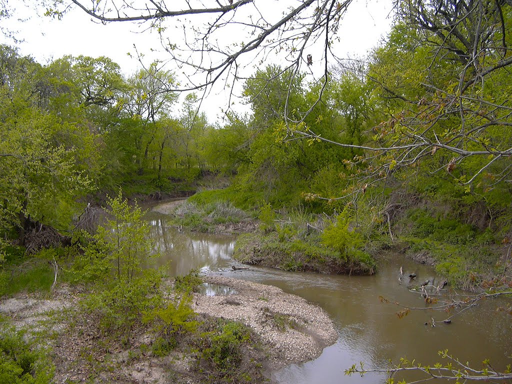 Wildcat Creek by Bronson Waite