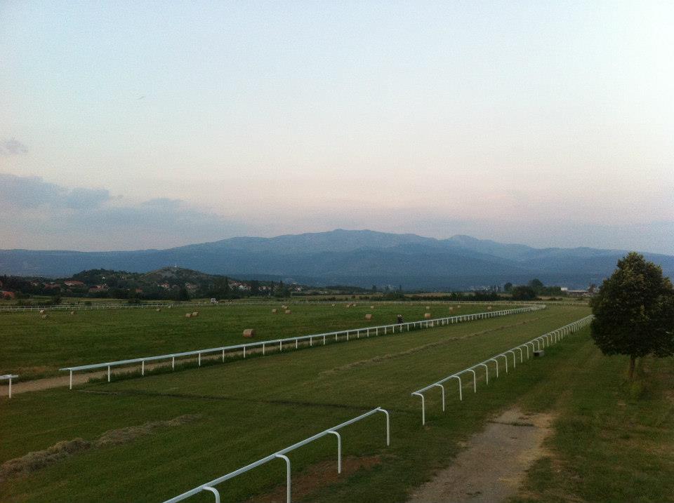 RACECOURSE / HIPODROM SINJ by Sinj Tourist Board