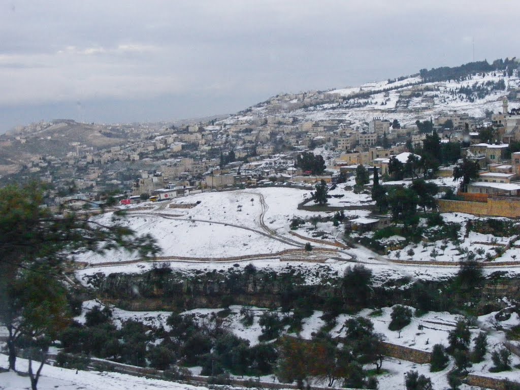 Snowy Jerusalem by Dorit Yannai