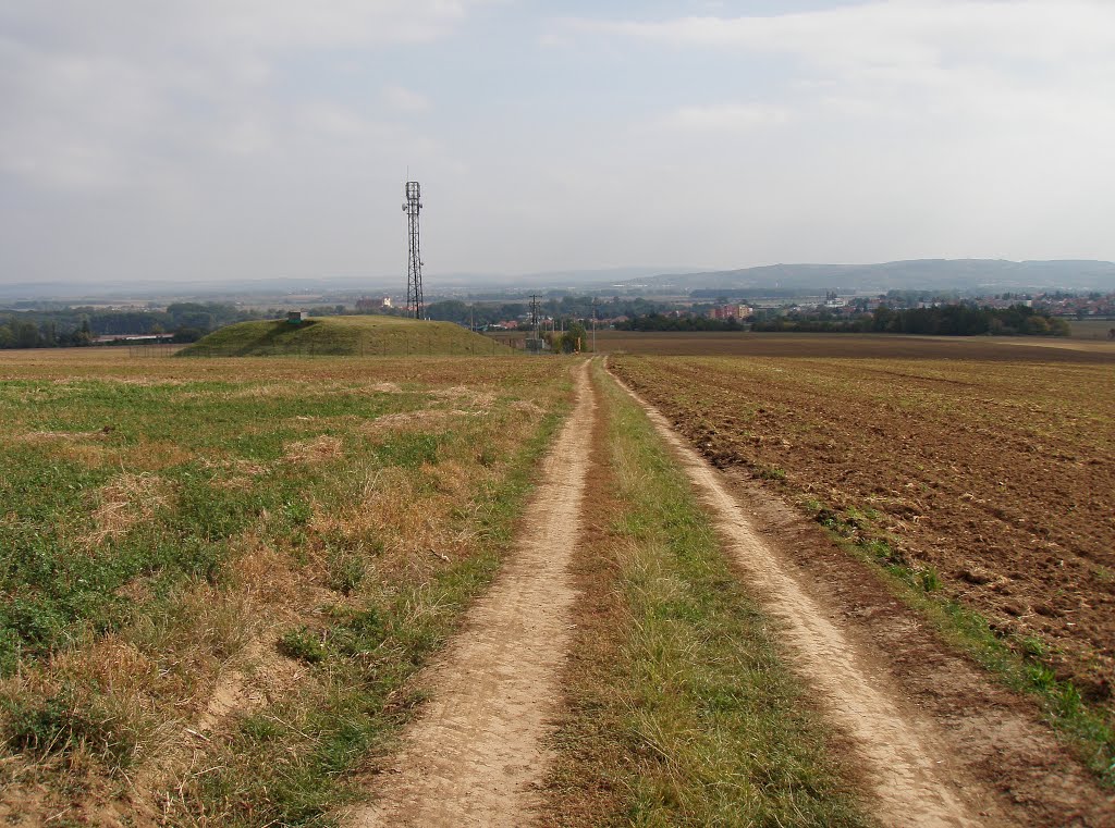 Želešice,Za Lesem by emigrant