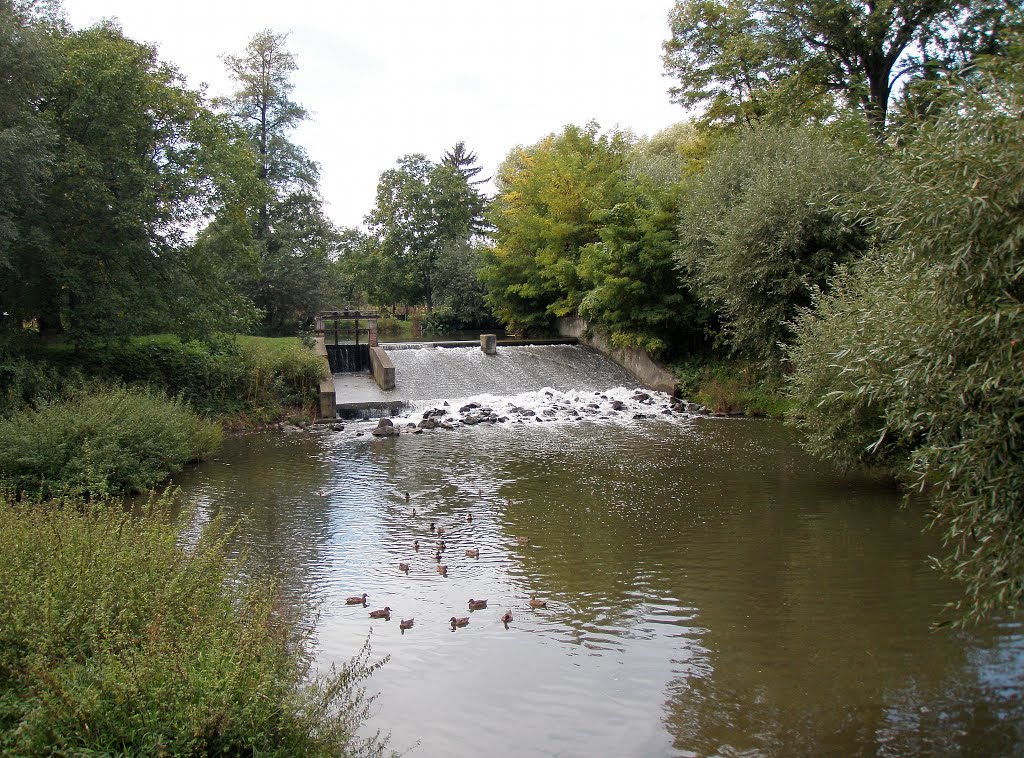 Vojkovice,splav by emigrant