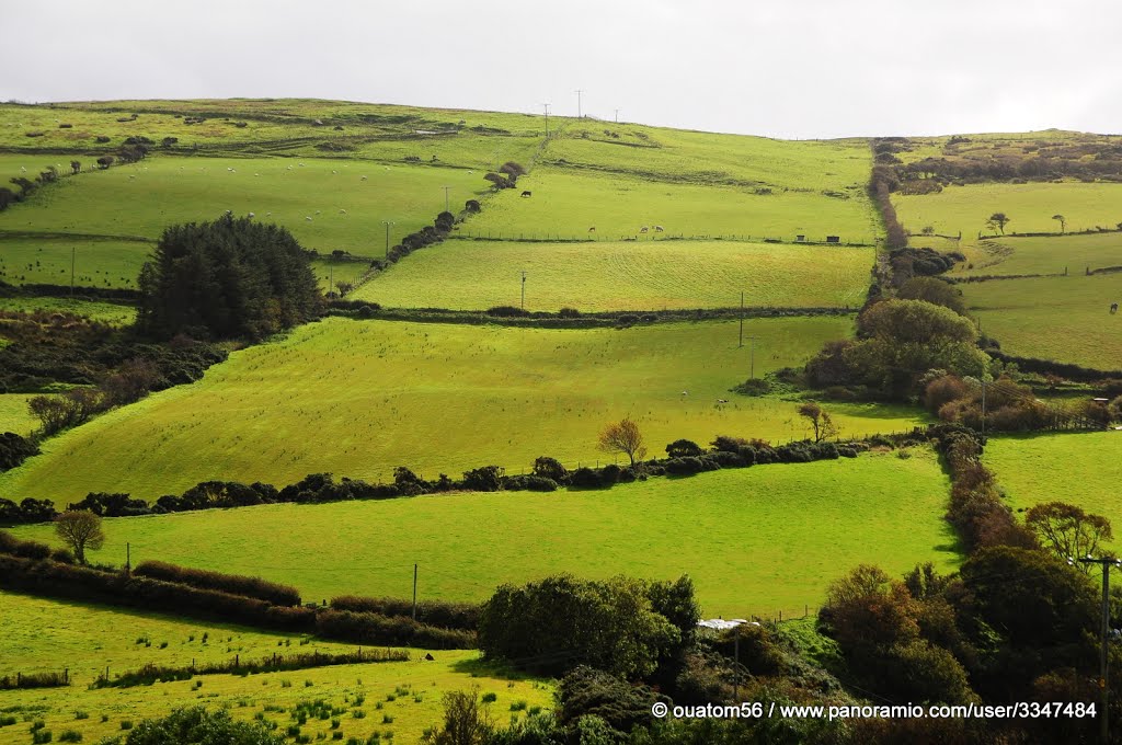 Green plots of land by ouatom56