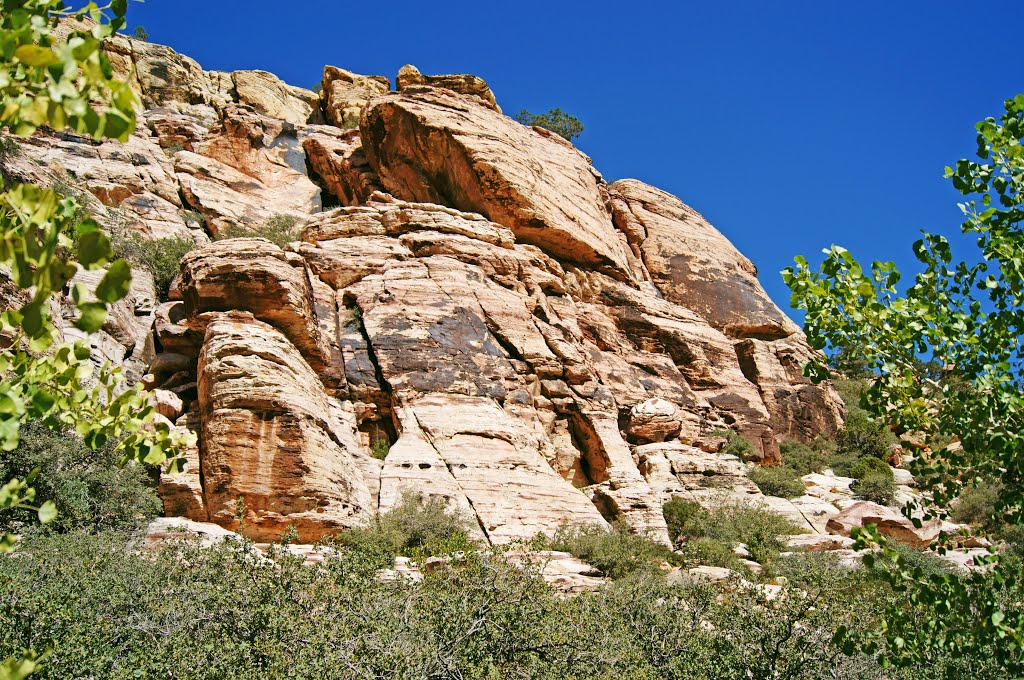 Red Rock Canyon 15 by coljay72