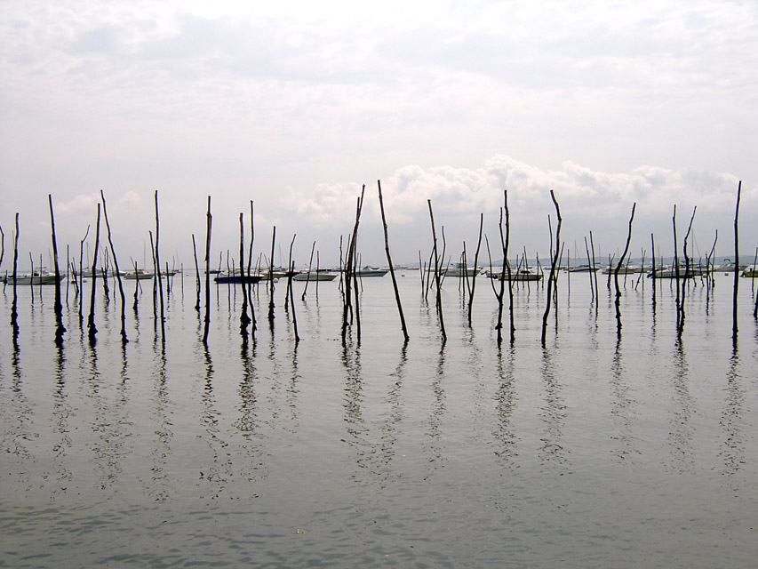 Code Barre Bio (juillet 2004 Le Bassin, Le Cap-Ferret) by Nick Ad@ms