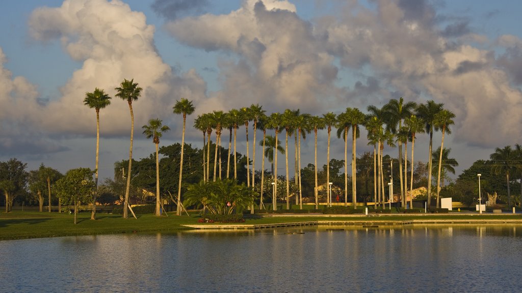 Palm trees on a lake by Phil Comeau