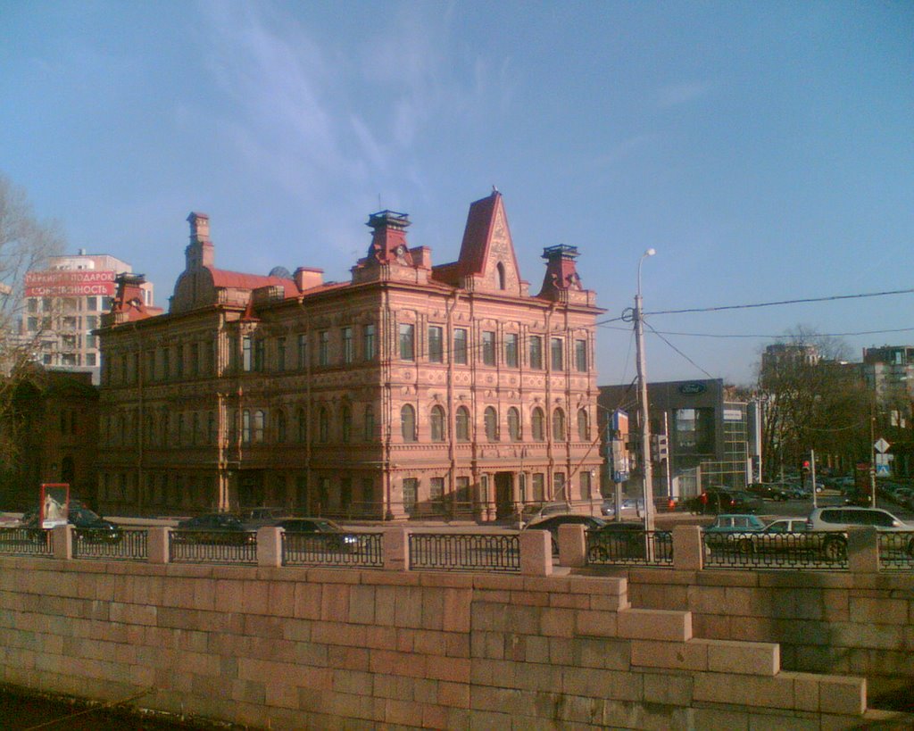 St.Petersburg (11.03.08), Russia by Anatoliy Gerasimov