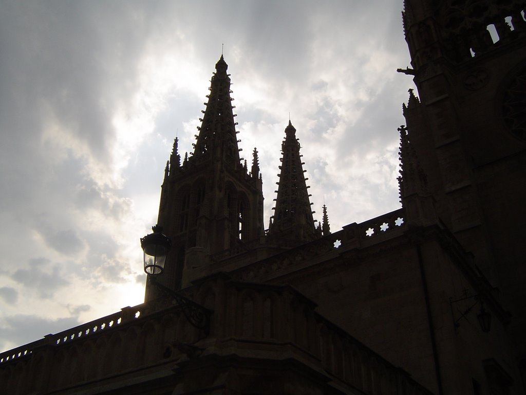 Catedral de Burgos by Od Nem