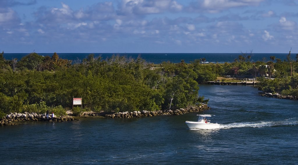 Tree-lined channel at Port Everglades by Phil Comeau