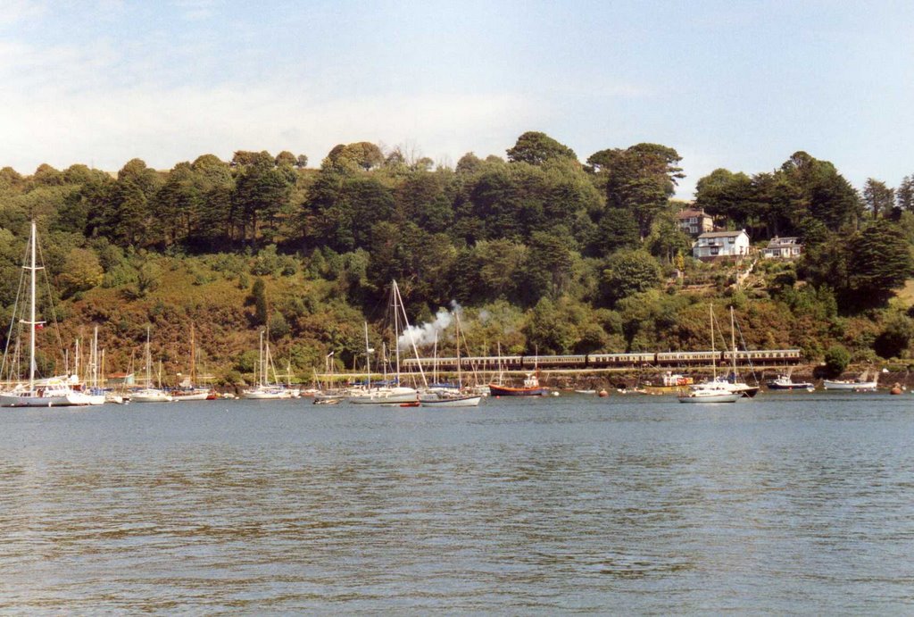 River Dart near Kingswear, Devon. 1990. by Brian Brady