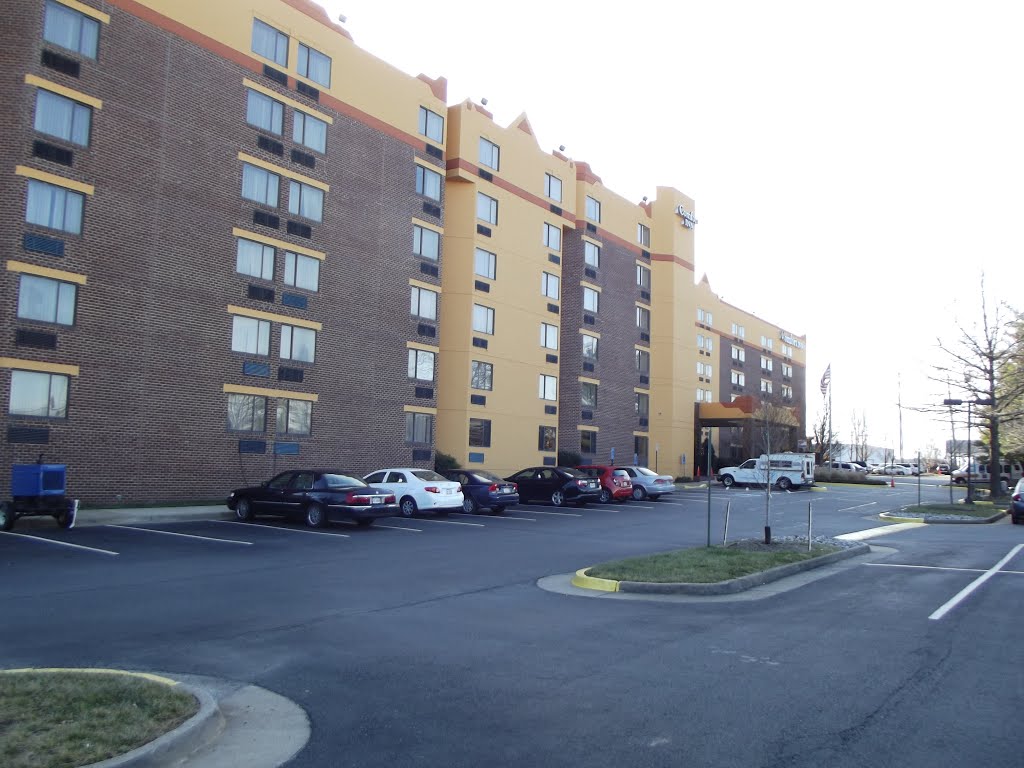 Comfort Inn, Fairfax, VA by Germaine Greer