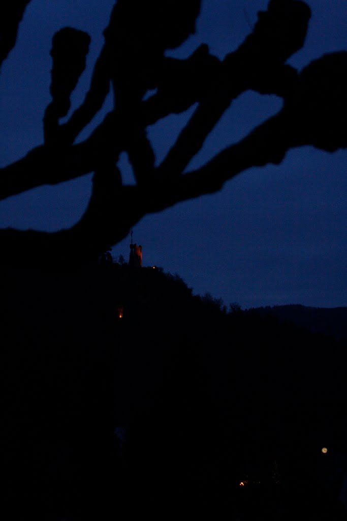 Blick auf Ruine Grevensburg by sogesehen