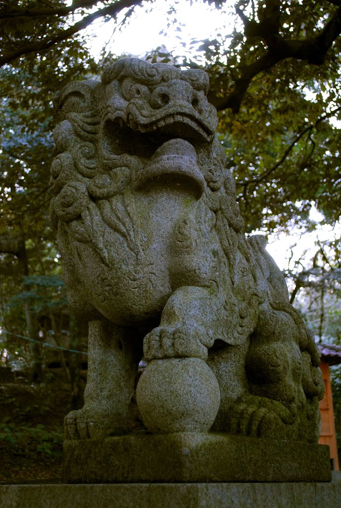 Shinto Shrine:Imizu Jinja　橋立町出水神社 by paleblue49