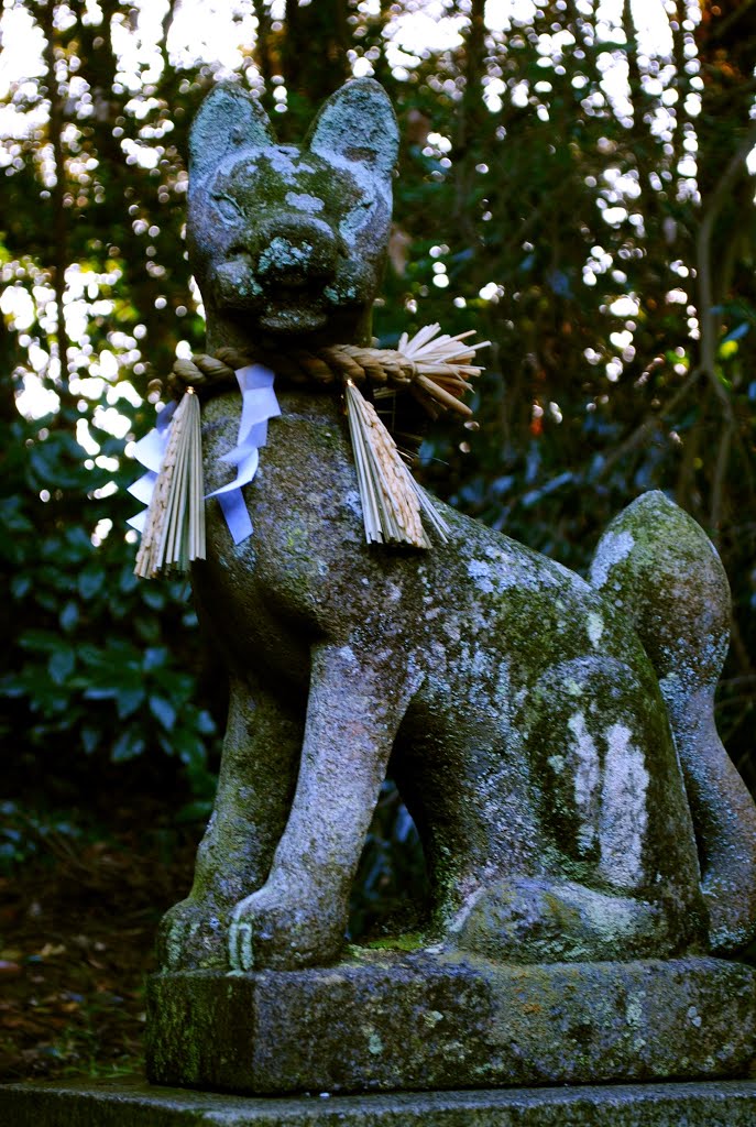 Shinto Shrine:Imizu Jinja　橋立町出水神社 by paleblue49