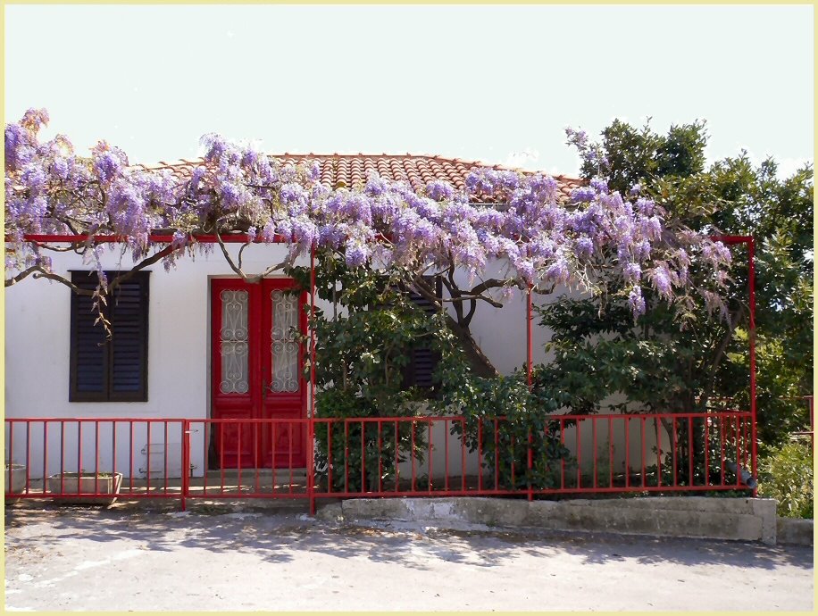 Casa con i glicini by nedaleo47