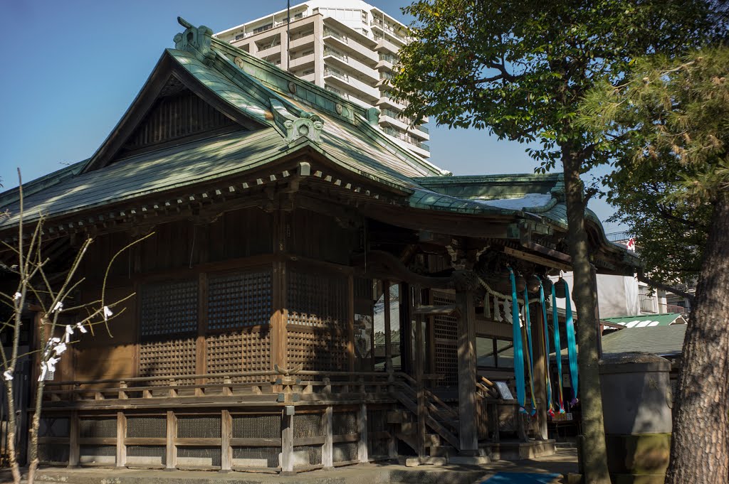 Komadome-Hachiman Shrine / 駒留八幡神社 by Kangoo_