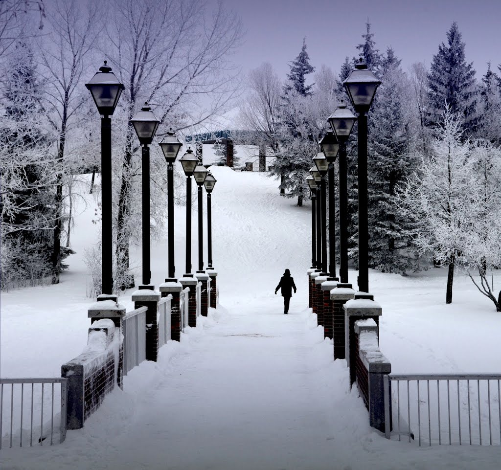 A local park in Winnipeg, MB, Canada by R. Halim