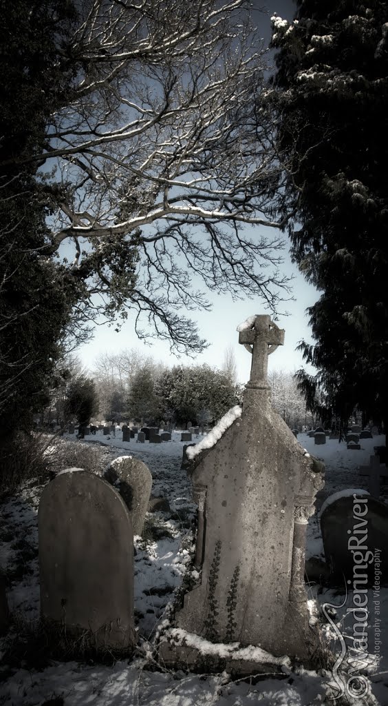 "As cold as the Grave" by Steve Stoddart