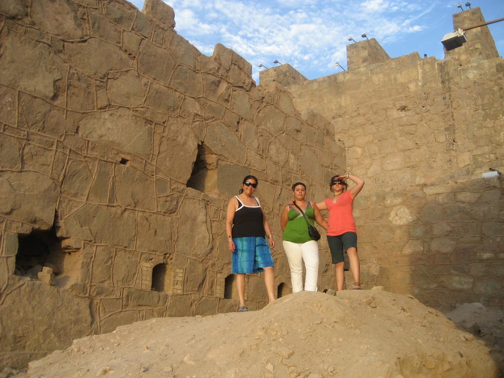 Mis primas en ruinas by nanoxxx