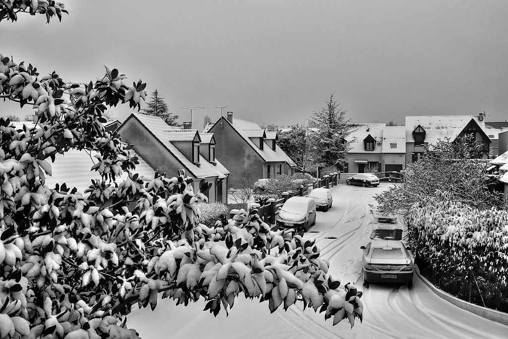 Samedi 19 janvier 2013 Draveil France by Christian VIGNA