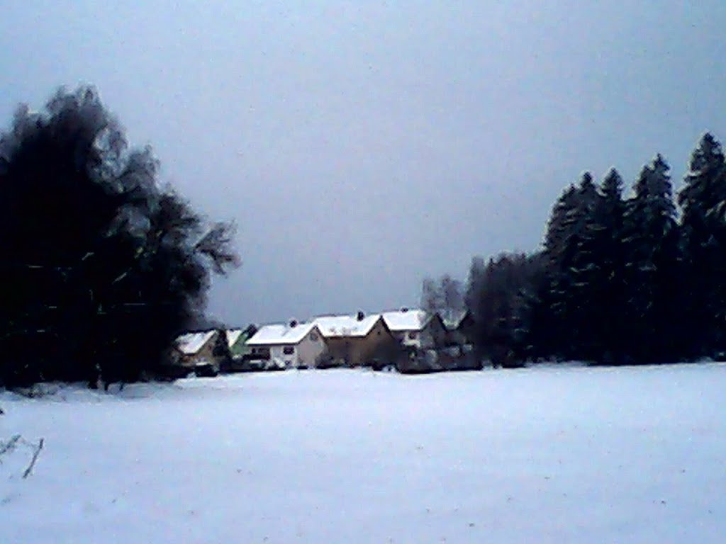 Sicht vom Friedhof aus auf die Pfaffenbergsiedlung by wolfgang.kohl6463