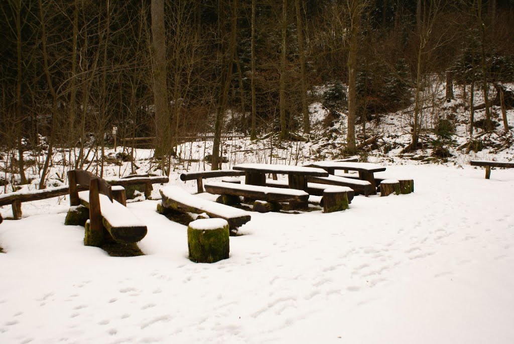 Grillplatz im Steinatal (Harz) by Altmeister