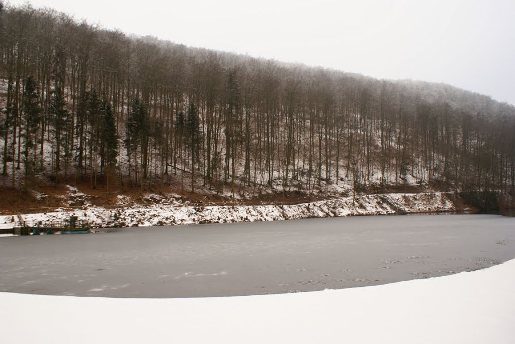 Steinatalsperre (Harz) by Altmeister