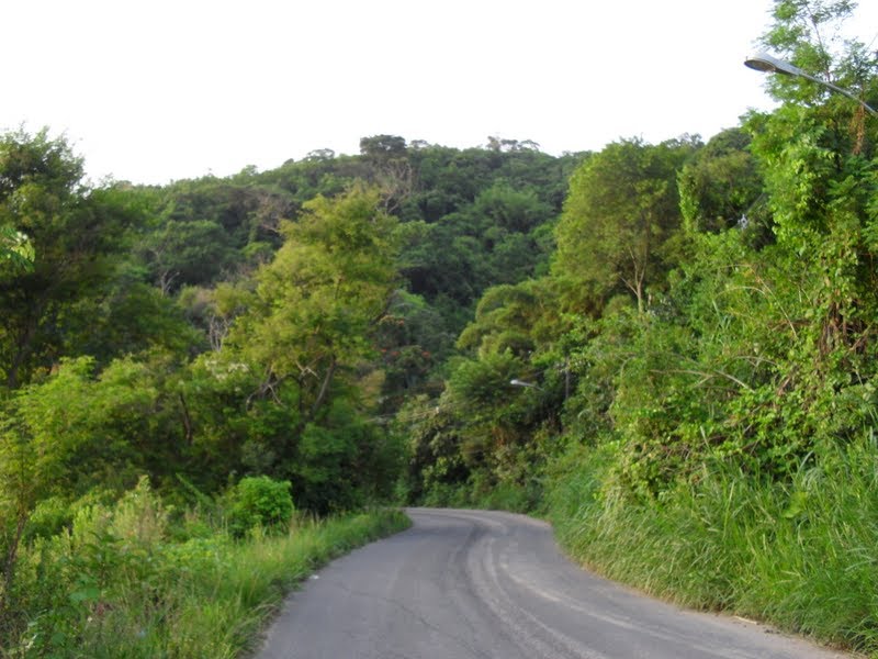 Caminho da Serrinha by Hugo Rosa