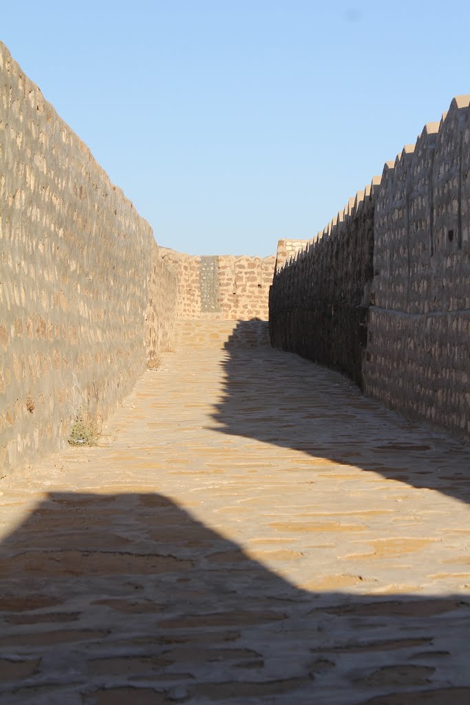 Mirikot, Ranikot fort by Syed Irfan Ali Shah Rizvi