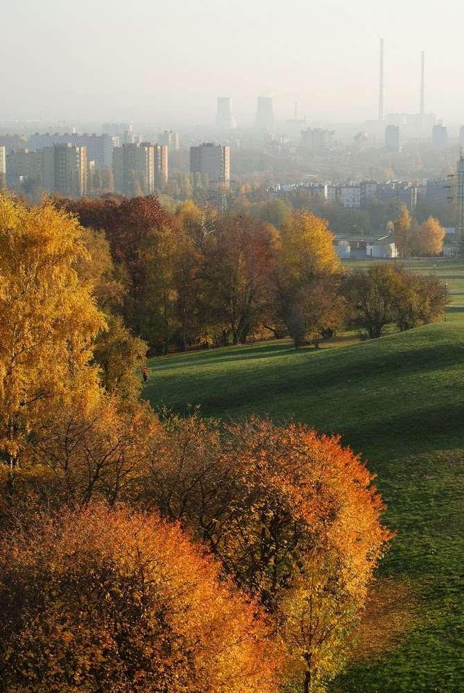 Jesień w parku na osiedlu Tysiąclecia by krakow1000