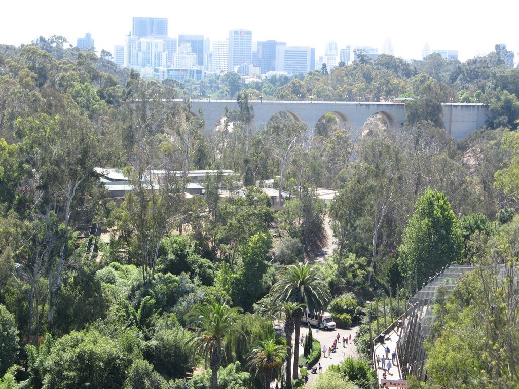 The Laurel Street Bridge and San Diego skyline from the Skyfari. by goinc2c