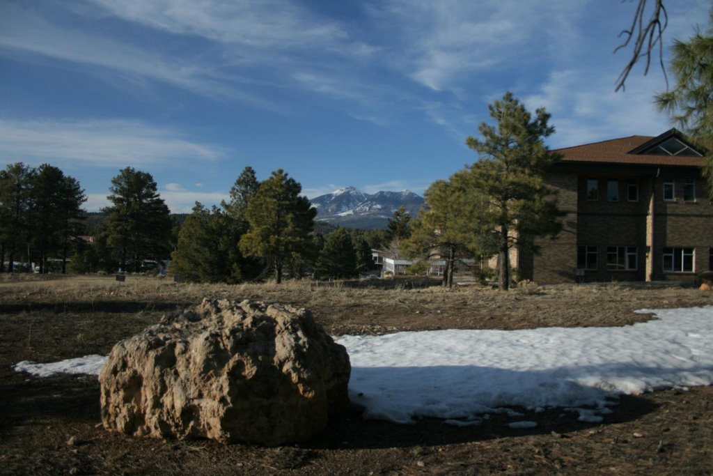 Lookin' North from the school of Southwest Forestry by zacholio