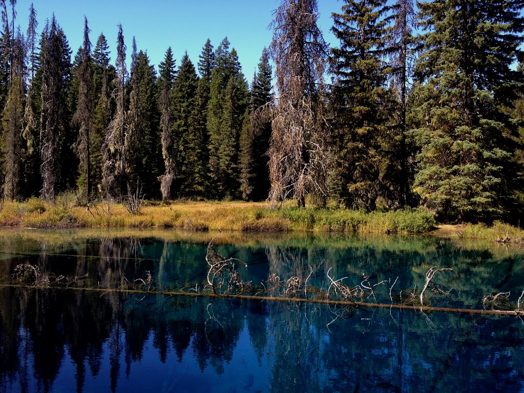 Little Crater Lake, Mt. Hood National Forest, Oregon by nwcamera