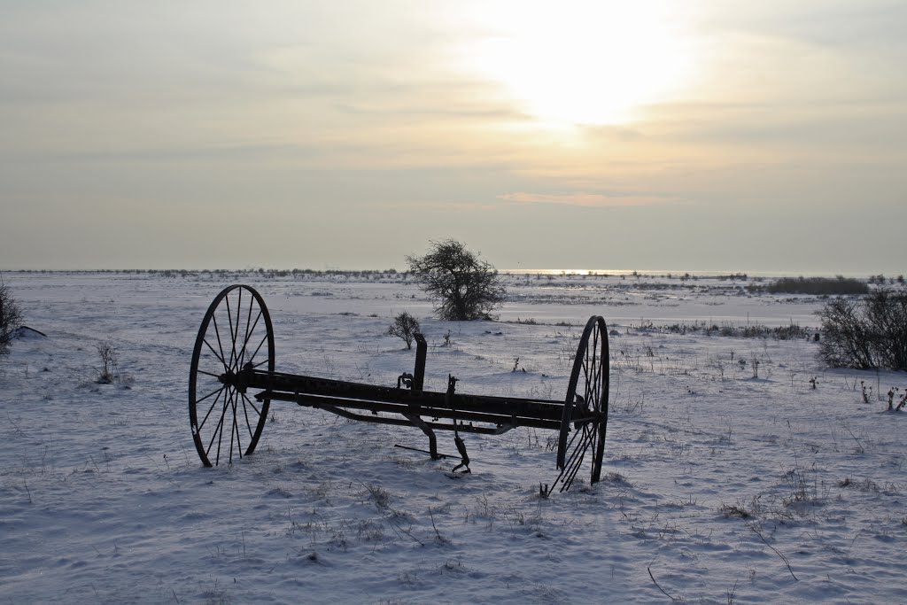 Forgotten harrow by Benjamin Buemann