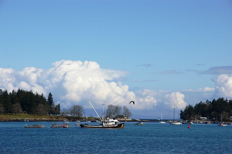 Nanaimo Harbour by taro_602