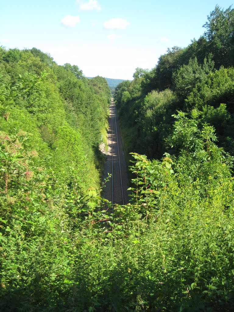 Ligne SNCF Besançon - Morteau - La Chaux de Fonds by carlitotard