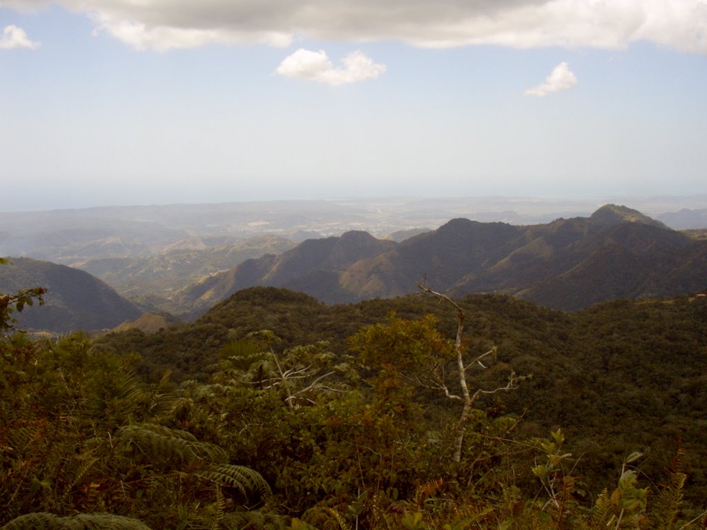 Yauco, cisto desde Guilarte by Rene Borges