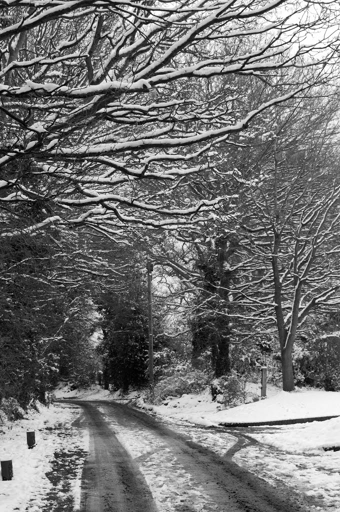 Snow in Wokingham by JohnBe