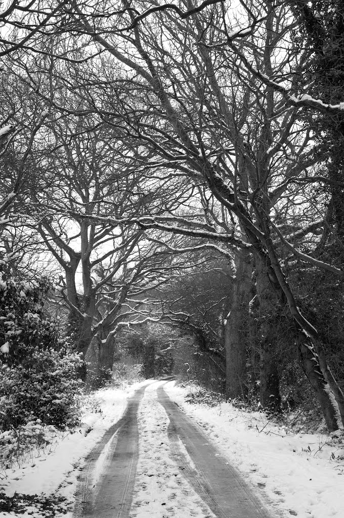 Snow in Wokingham by JohnBe