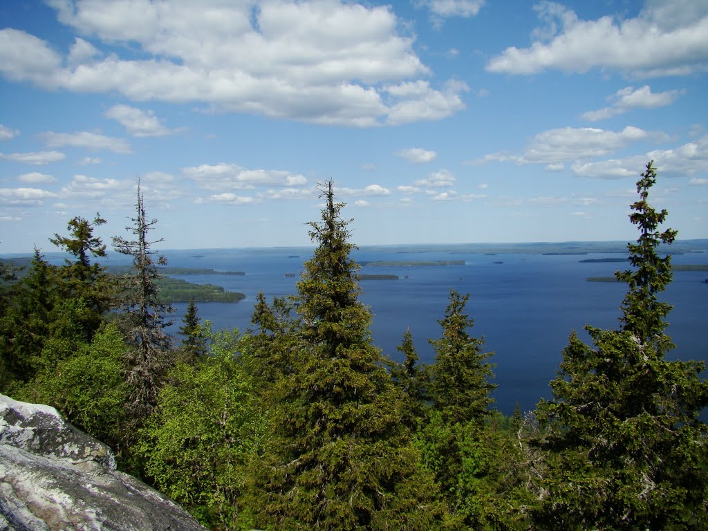 Koli National Park by PlamenB