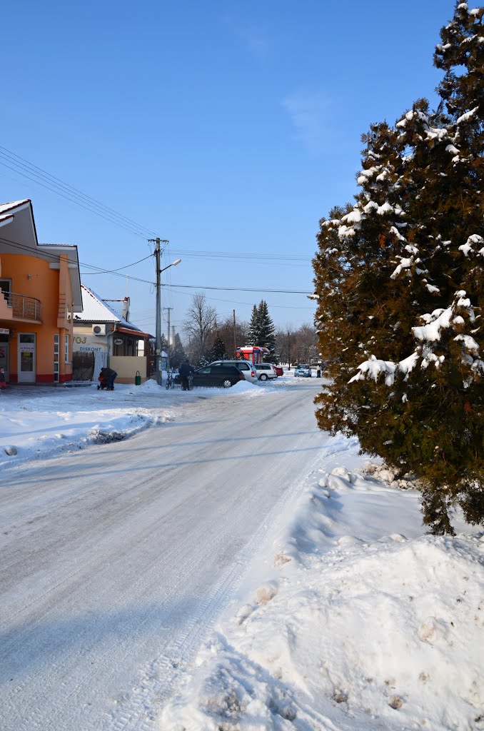 Dvory nad Žitavou_Dubová by Vadkerti Frant.