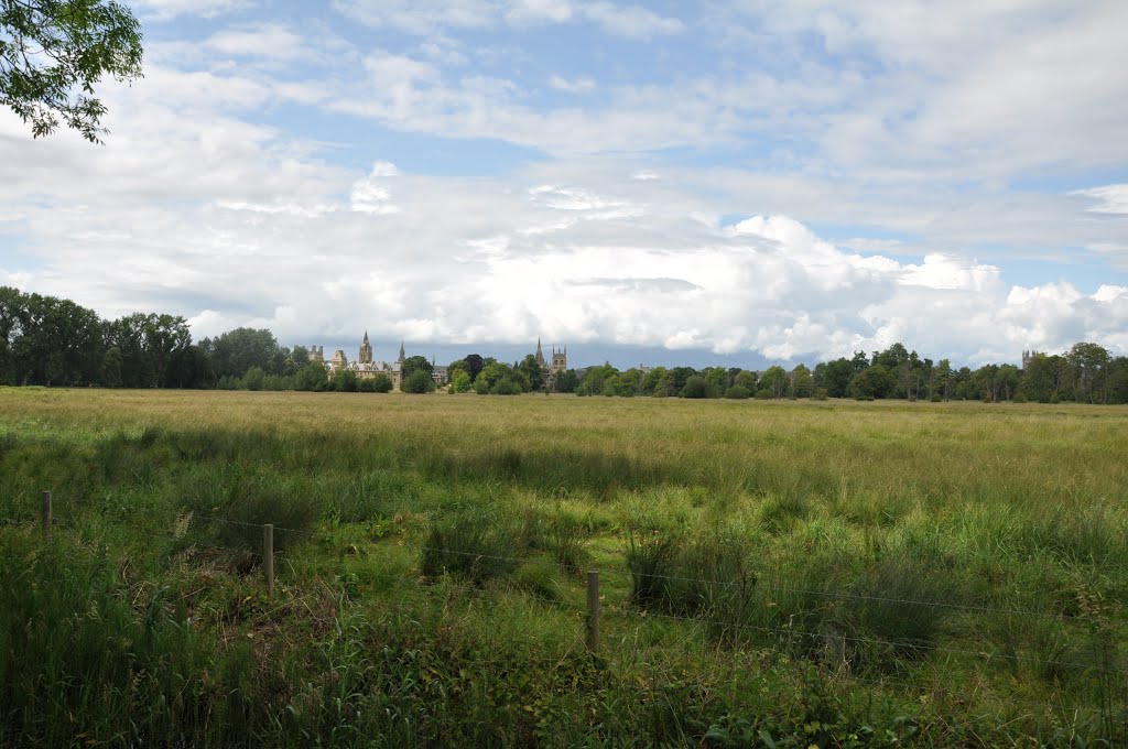 Oxfordshire (2011-06) - Christ Church Meadow by across.5.continents