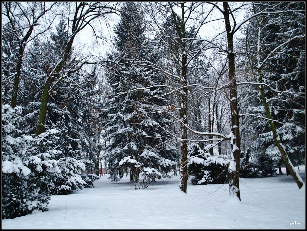 NOVÁKY - park dr. Štefana Moysesa by < JOKO >