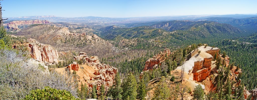 Bryce Canyon National Park 43 Panorama by coljay72