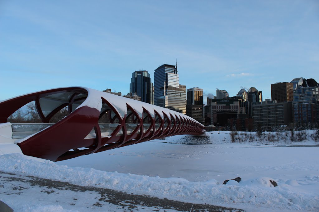 Calgary- Alberta- - Peace Bridge by cheets99